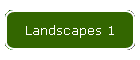 Landscapes 1